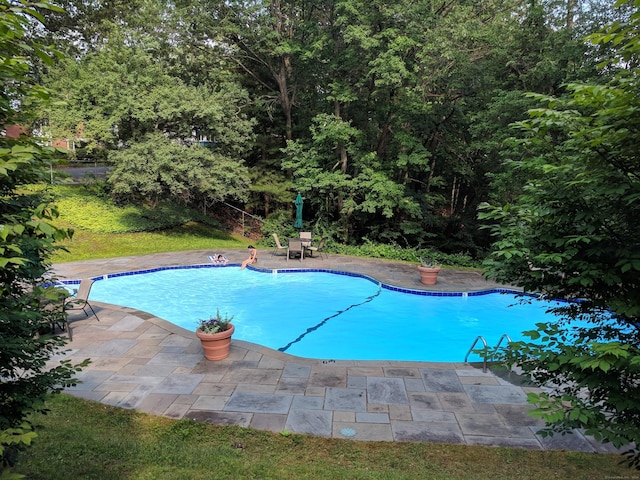 42 N Lake Dr Apt C2, Hamden, CT 06517 - outdoor pool featuring a patio area