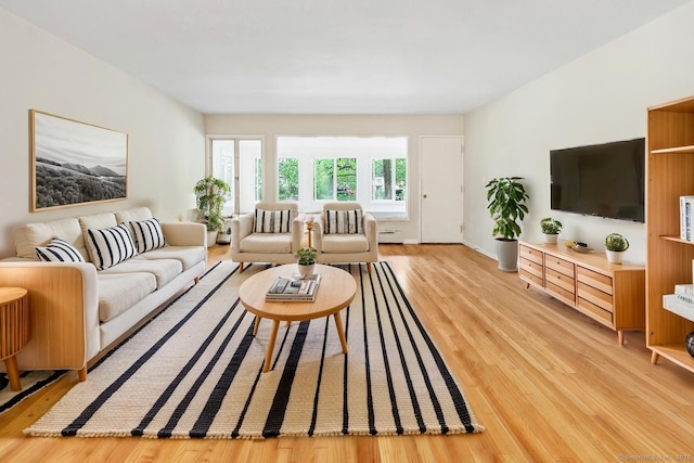 42 N Lake Dr Apt C2, Hamden, CT 06517 - living room with light wood-style flooring and a baseboard heating unit
