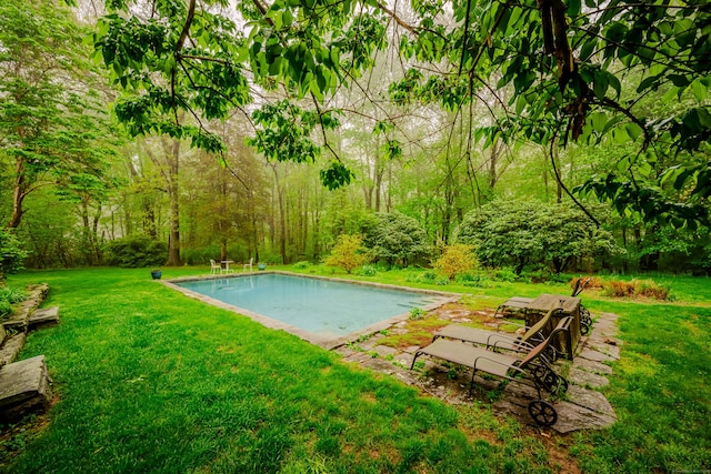 swimming pool with a yard