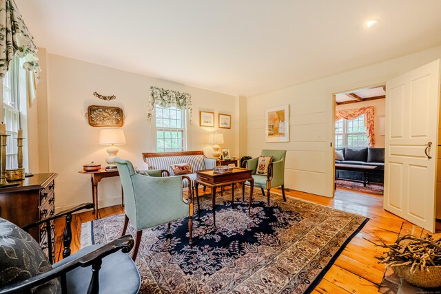 living room featuring healthy amount of natural light and wood finished floors