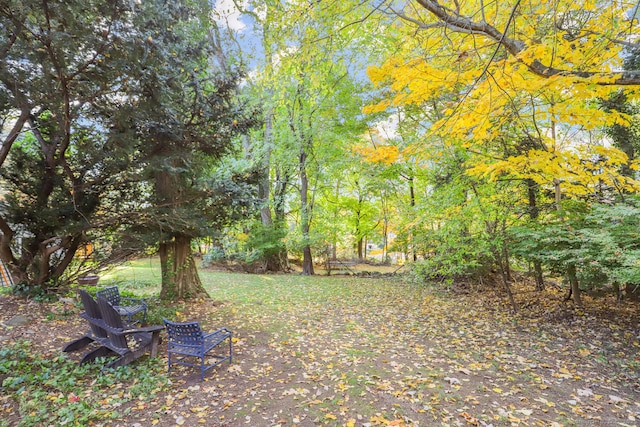47 Hollow Tree Ridge Rd, Darien, CT 06820 - view of yard