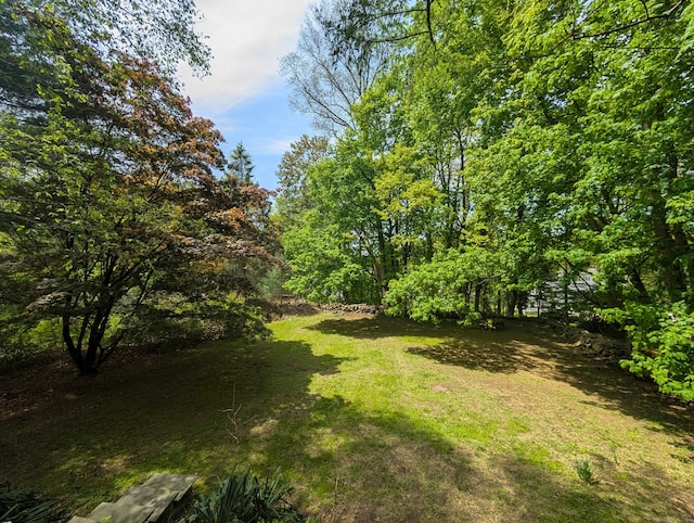 47 Hollow Tree Ridge Rd, Darien, CT 06820 - view of grassy yard