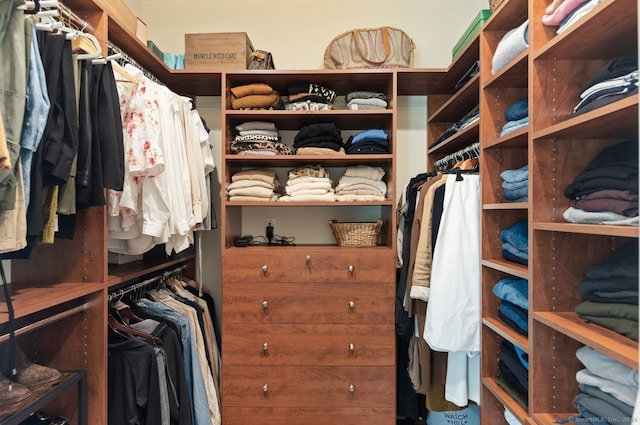 view of walk in closet