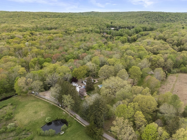 38 Three Bridges Rd, East Haddam, CT 06423