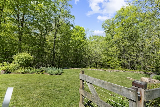 140 Podunk Rd, Guilford, CT 06437 - view of green lawn with a forest view