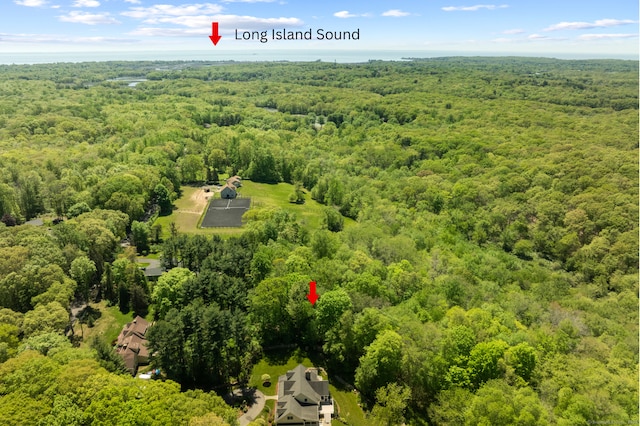 140 Podunk Rd, Guilford, CT 06437 - bird's eye view of a forest