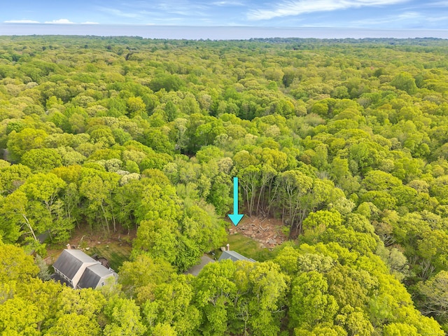 aerial view of a forest