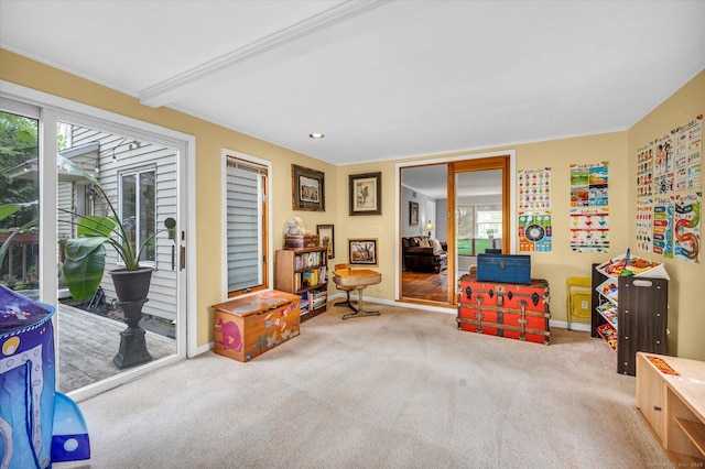 10 Meadowbrook Rd, Hamden, CT 06517 - rec room featuring carpet and baseboards