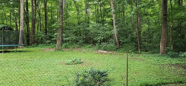 view of grassy yard featuring a trampoline