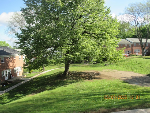 51-71 Park Ave Unit 3-21, Danbury, CT 06810 - view of green lawn