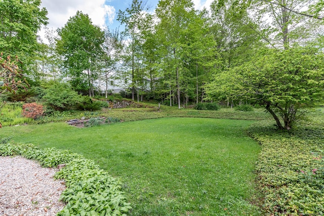 view of green lawn