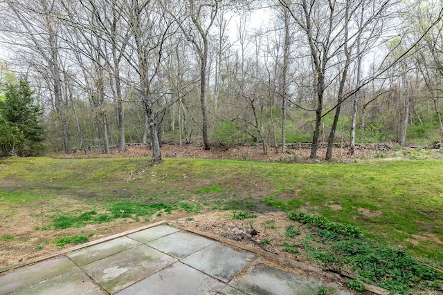 433 Kent Cornwall Rd Unit 14, Kent, CT 06757 - view of yard