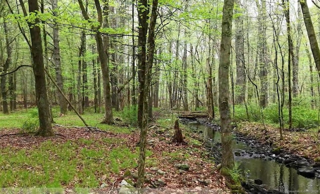 597 E Thompson Rd Lot 10C, Thompson, CT 06277