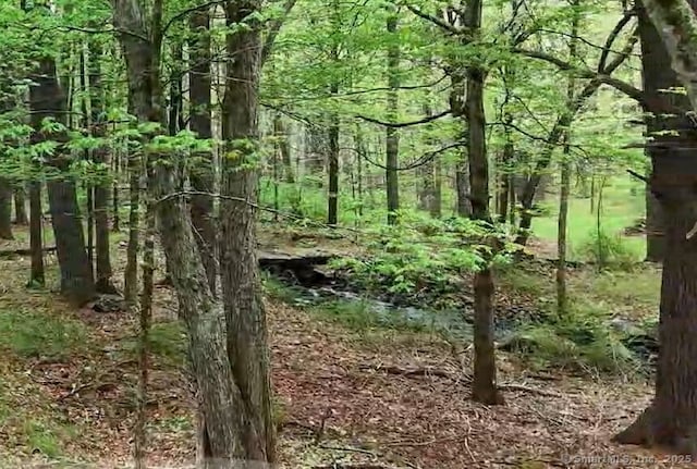 597 E Thompson Rd Lot 10C, Thompson, CT 06277