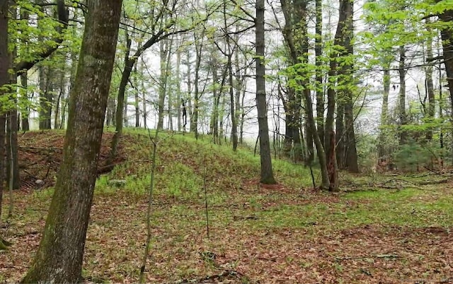 597 E Thompson Rd Lot 10C, Thompson, CT 06277