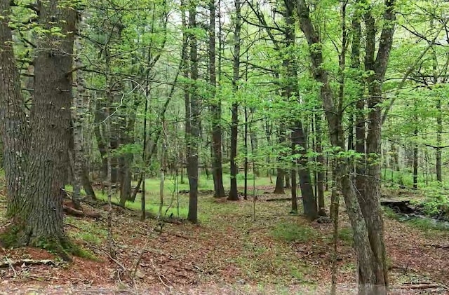597 E Thompson Rd Lot 10C, Thompson, CT 06277
