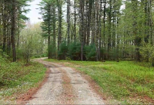 597 E Thompson Rd Lot 10C, Thompson, CT 06277
