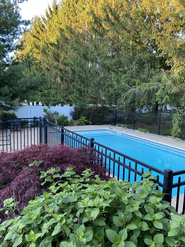 539 Plains Rd, Milford, CT 06461 - view of swimming pool