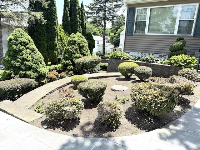 15-17 Beckerle St, Danbury, CT 06811 - view of yard