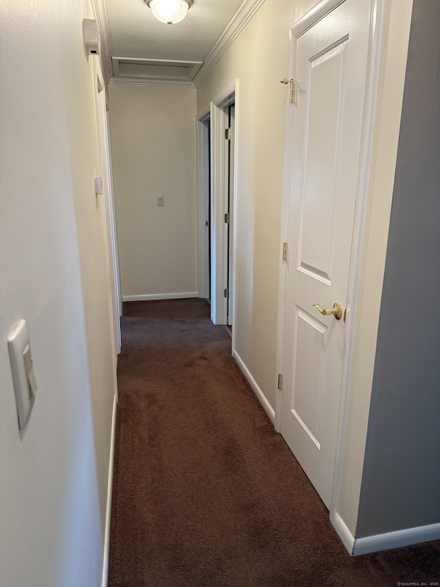 15-17 Beckerle St, Danbury, CT 06811 - hallway with carpet flooring, ornamental molding, and attic access