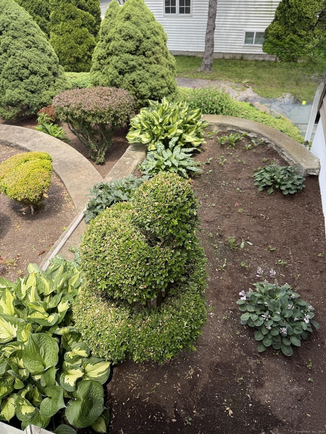 15-17 Beckerle St, Danbury, CT 06811 - view of yard