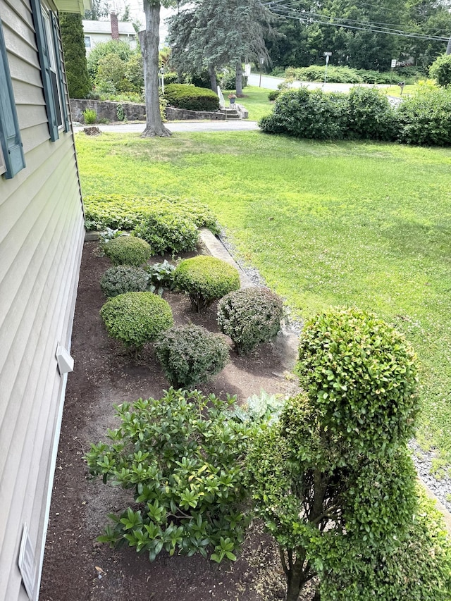 15-17 Beckerle St, Danbury, CT 06811 - view of green lawn