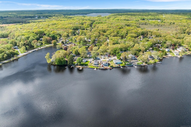 53 Lake Dr, Montville, CT 06370 - photo 8