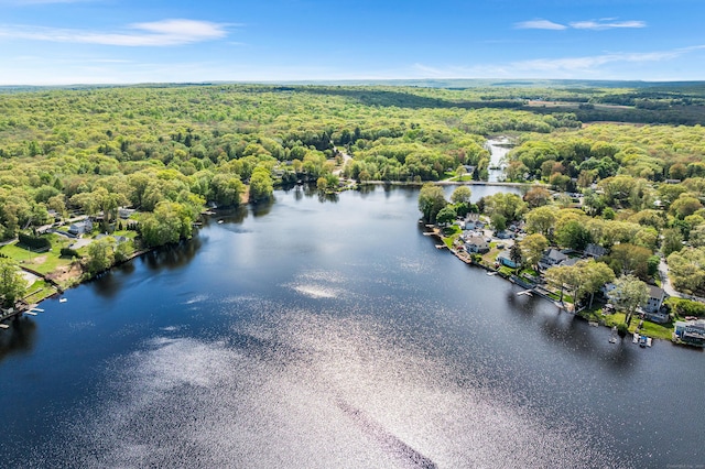 53 Lake Dr, Montville, CT 06370 - photo 9