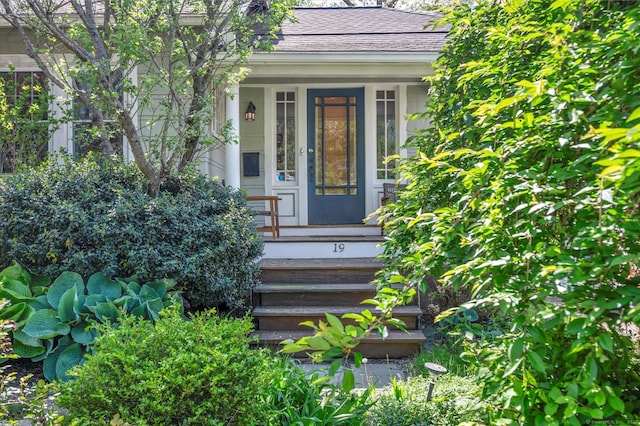 19 Orpington St, Hamden, CT 06517 - doorway to property featuring a shingled roof and covered porch