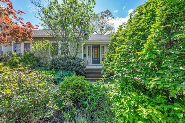 19 Orpington St, Hamden, CT 06517 - view of property hidden behind natural elements