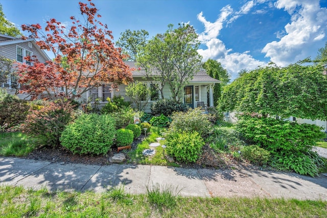 19 Orpington St, Hamden, CT 06517 - view of front of house