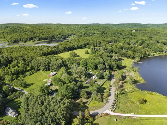 53 Selden Rd, Lyme, CT 06371 - photo 39