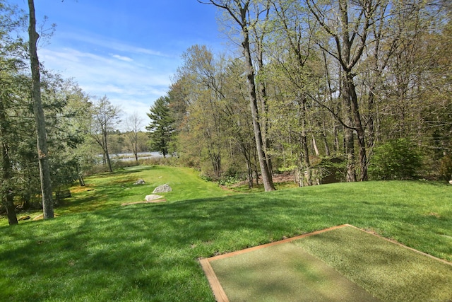 view of green lawn