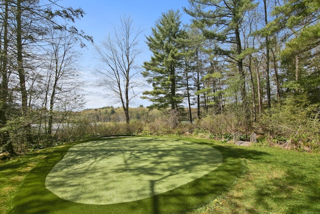 view of yard with a putting green