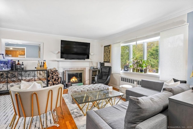 living room featuring crown molding, a premium fireplace, wood finished floors, and radiator