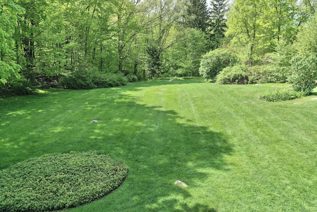 12 Cedar Ln, Oxford, CT 06478 - view of grassy yard