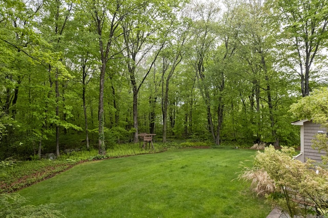 79 Erdoni Rd, Columbia, CT 06237 - view of grassy yard featuring a forest view