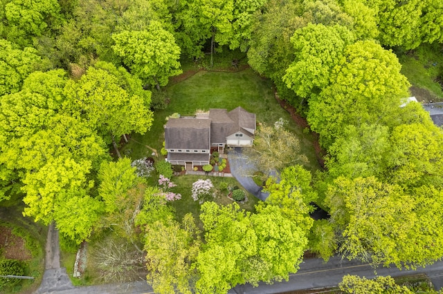 79 Erdoni Rd, Columbia, CT 06237 - view of subject property