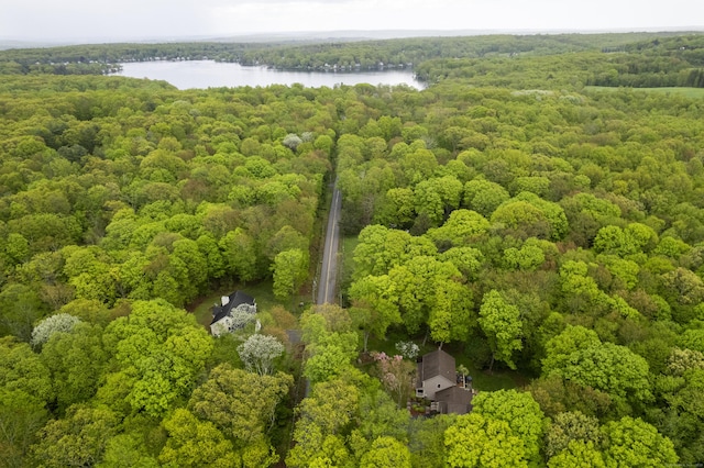 79 Erdoni Rd, Columbia, CT 06237 - bird's eye view of a large body of water and a forest