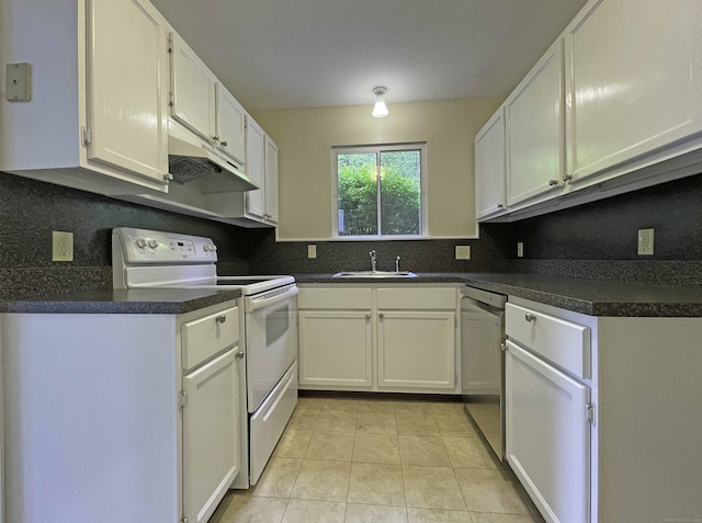 kitchen with electric stove, dishwasher, a sink, under cabinet range hood, and backsplash