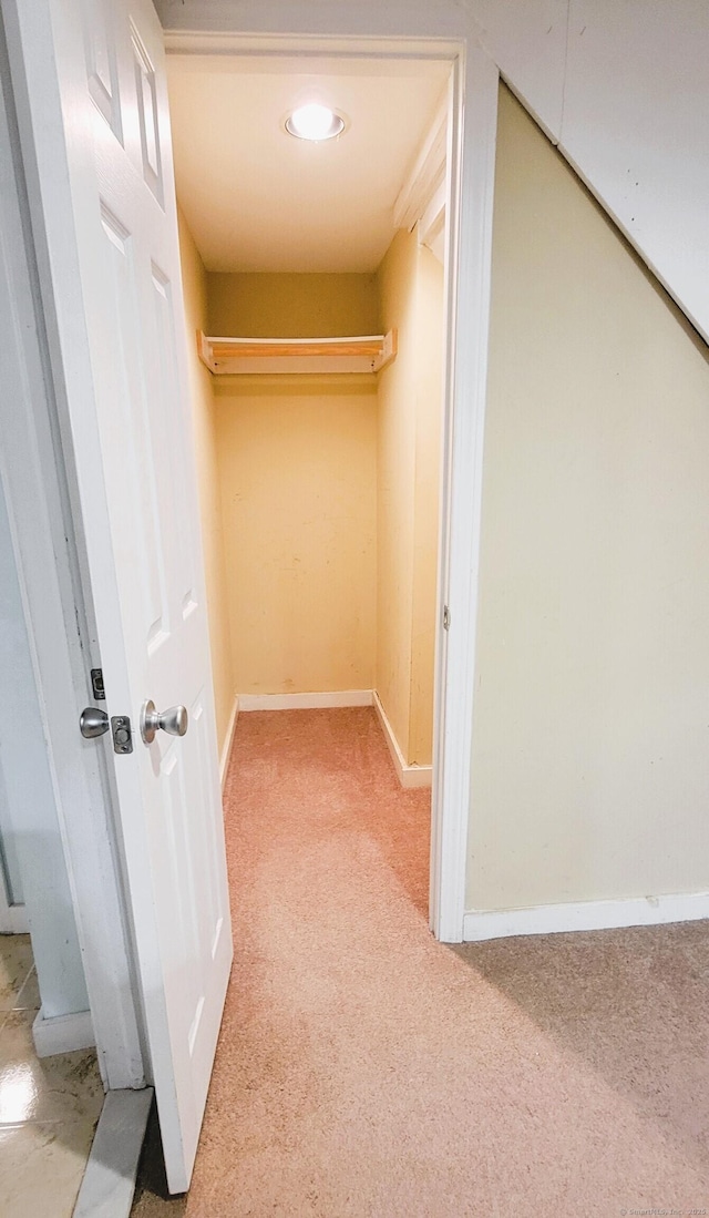 spacious closet featuring carpet floors