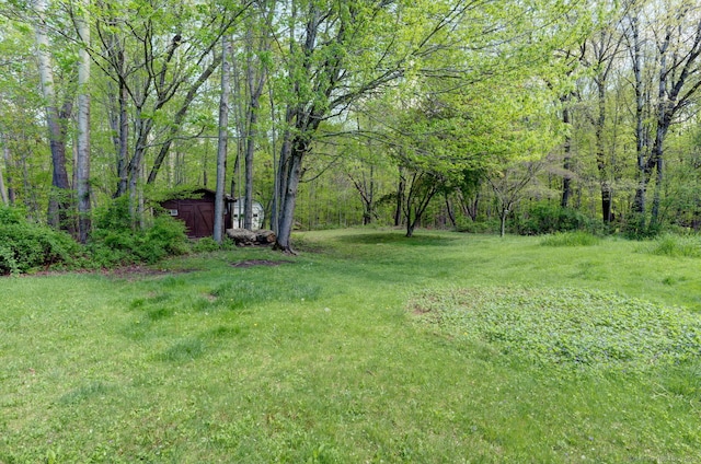 view of grassy yard with a wooded view
