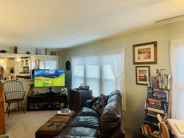 91 Shawnee Rd, East Hartford, CT 06118 - carpeted living room featuring a textured ceiling