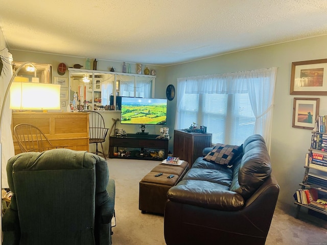 91 Shawnee Rd, East Hartford, CT 06118 - carpeted living area with a textured ceiling