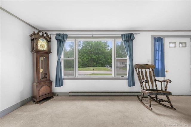 20 Cedar Ln, Norwich, CT 06360 - sitting room with carpet flooring and baseboard heating