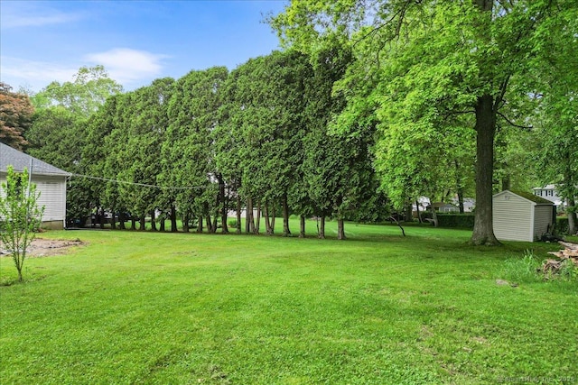 20 Cedar Ln, Norwich, CT 06360 - view of grassy yard with a storage shed and an outdoor structure