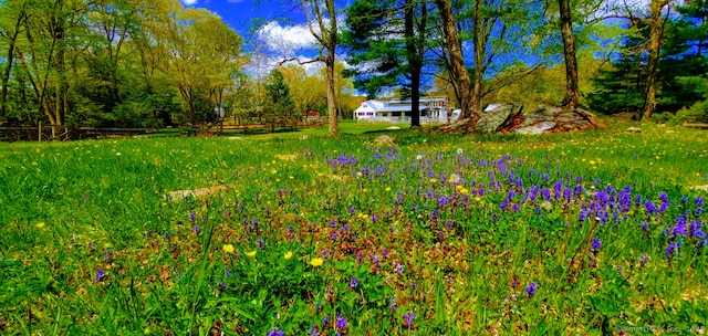 58 Botsford Hill Rd, Newtown, CT 06470 - photo 2