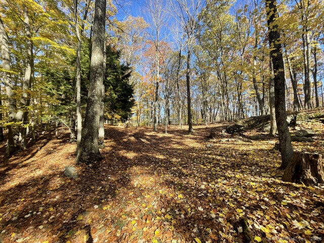 58 Botsford Hill Rd, Newtown, CT 06470 - photo 35