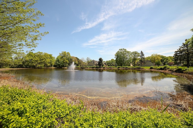 85 Viscount Dr Unit 10A, Milford, CT 06460 - water view