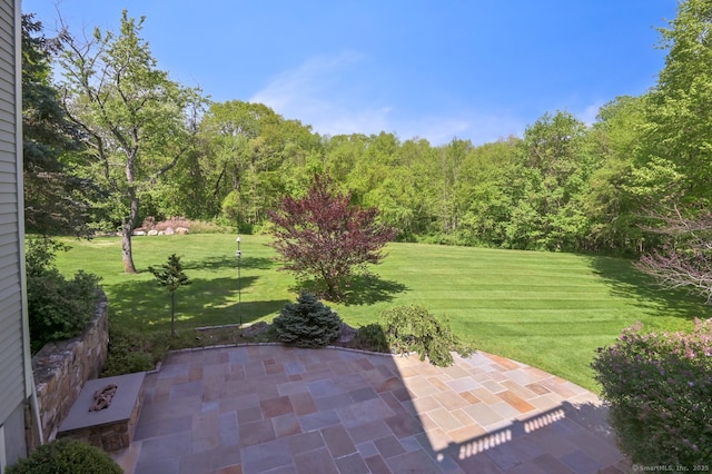 6 Spectacle Ln, Ridgefield, CT 06877 - view of green lawn with a patio area and a view of trees